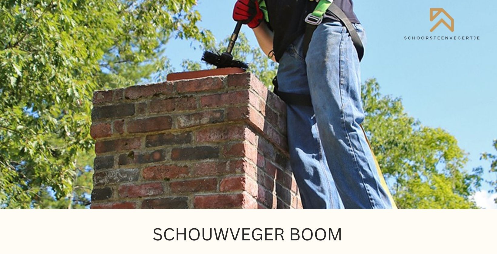 Schouwveger Boom